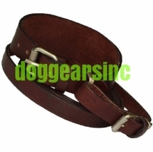 Leather Collers And Leash